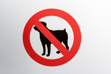Dog Ban Sign